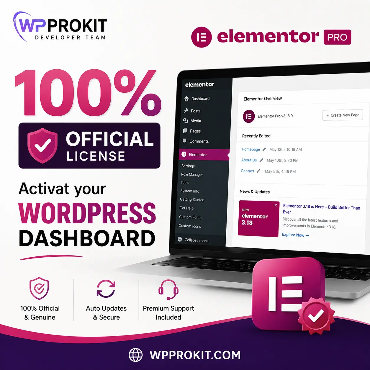 Elementor Pro Price in Pakistan