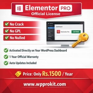 Elementor Pro Price in Pakistan